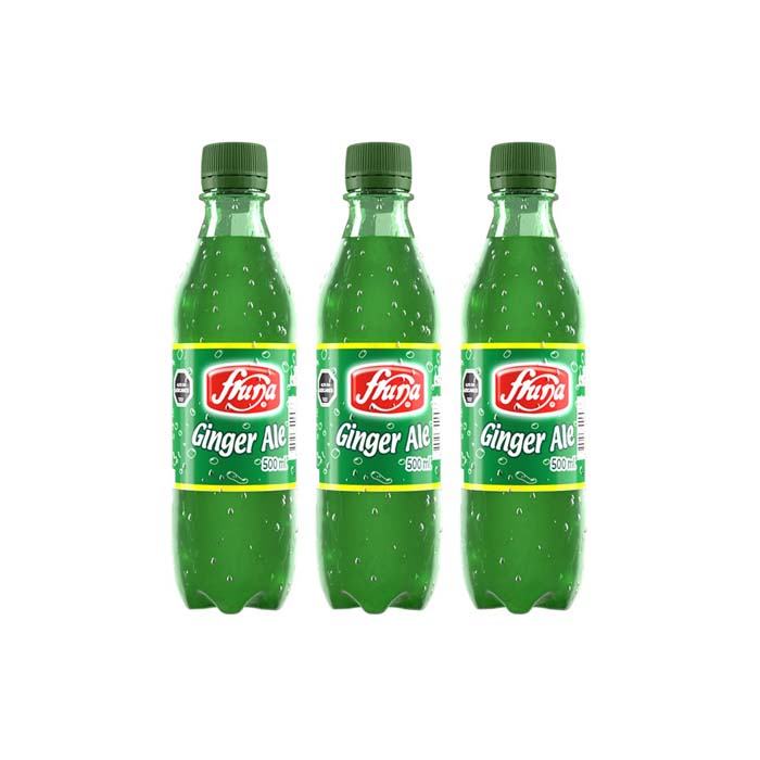 Fruna/Bebida Gingerx12